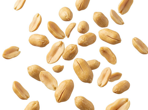 Falling roasted peanuts isolated on white. Organic snack nuts flying in the air.