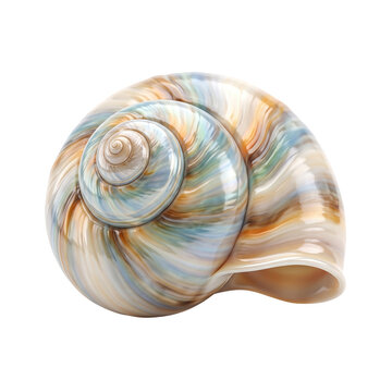 Nature of a beautiful spiral seashell with iridescent pastel colors, embodying ocean serenity, coastal beauty, and marine life wonders on a black background.