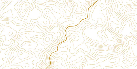 Topographic map contour lines with elevation path feature topographic elevation geography cartography abstract background navigation landscape physical © MD