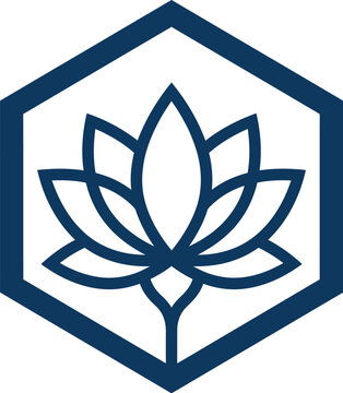 Lotus emblem displays a geometric floral design centered inside a dark hexagon.