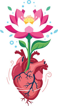 Heart organ sprouts a blooming pink lotus flower to illustrate holistic.