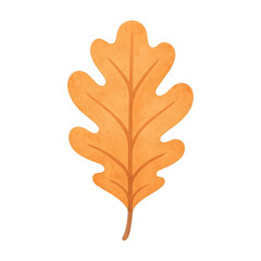 Obraz premium PNG Illustrated autumn oak leaf design.