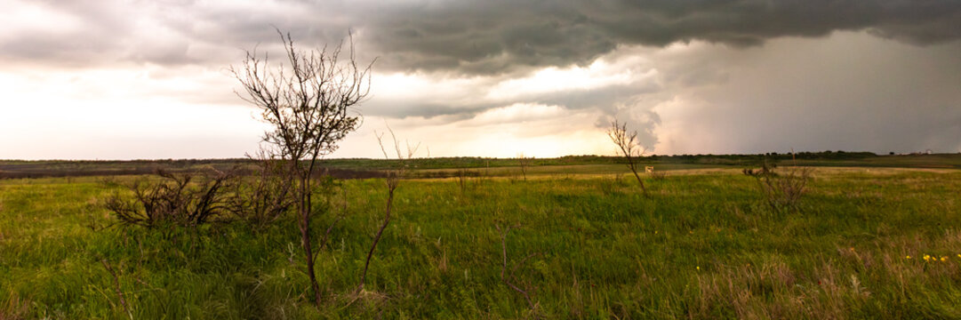 Impacts of Climate Change. El Ni&ntilde;o, the environment, rising global temperatures. Pollution and devastating storms featuring tornadoes and strong winds. Uncontrolled weather. Web banner, copy space.