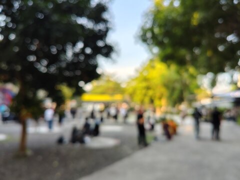 Blurred public park background with people relaxing under green trees during sunny daytime outdoor event