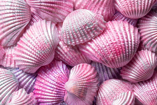 Shells painted with pink, purple and green pearlescent acrylic paint background backdrop. Home decor ideas concept.