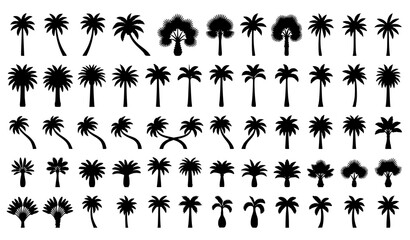 Fototapeta premium Elegant Palm Tree Silhouette Pack with Tropical Island Trees Flat Vector Illustration
