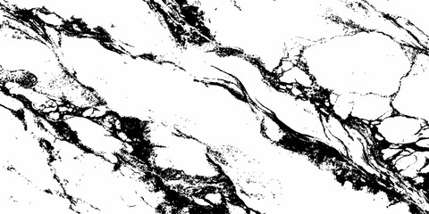Fototapeta premium Luxury Black and White Marble Texture Background with Natural Stone Veins High Resolution