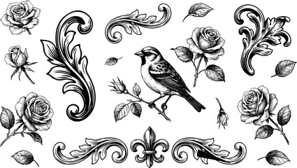 Vintage Baroque Engraving Design Elements with Bird, Detailed Rose Flowers, Scroll Leaves, and Fleur de Lis Symbols for Classic Ornamental Vector Backgrounds © MstKamrun