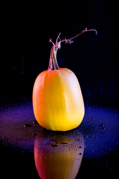 Ripe yellow pumpkin on a black background