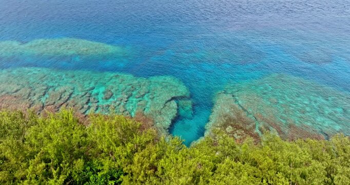 Aerial view vibrant turquoise water of ocean meeting lush green vegetation of Tegua island, revealing an extensive coral offshore reef beneath clear surface. Wild nature landscape. Travel destination