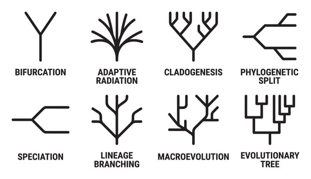 Evolutionary branching diagrams abstract representation of biological divergence.