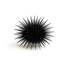 Obraz premium Black Sea Urchin Close Up Isolated on White Background