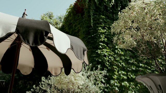 Striped scalloped umbrella canopy against green foliage in garden
