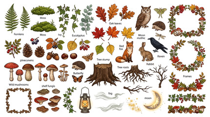 Obraz premium Whimsical forest scene showcases mushrooms, animals, and foliage in a playful, hand-drawn illustration style.