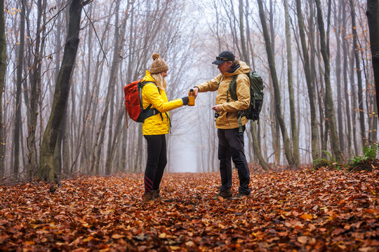 Hikers resting on trekking trail. Man pouring hot drink from thermos into travel mug. Refreshment during hiking in autumn forest