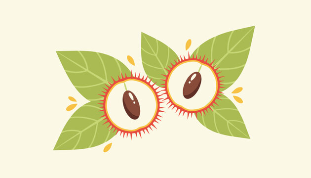 Botanical art depicting two sliced halves of a spiky red rambutan fruit with green leaves on a soft light cream colored background.