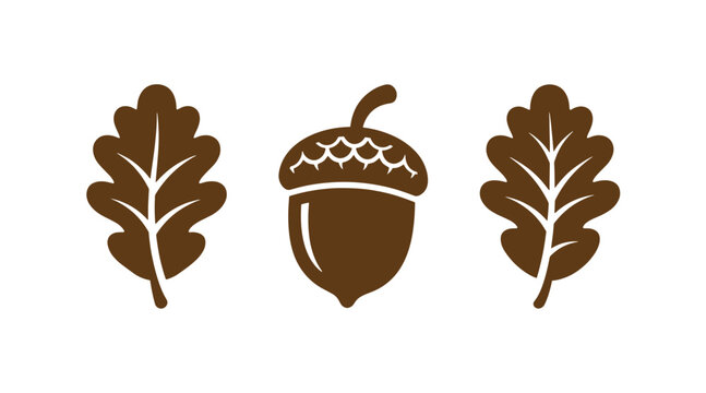 Set of brown silhouette icons featuring oak leaves and a single acorn for autumn nature design elements silhouette botanical woodland illustration isolated decoration
