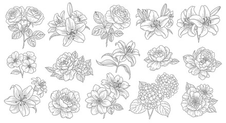 Collection of hand drawn flowers with flowers leaves black white line art illustration botanical berries drawing lilies sketch floral with nature © Dipan