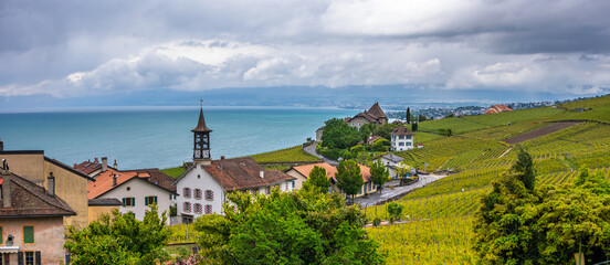 Naklejka premium Lavaux vineyard terraces overlooking Lake Geneva in Switzerland