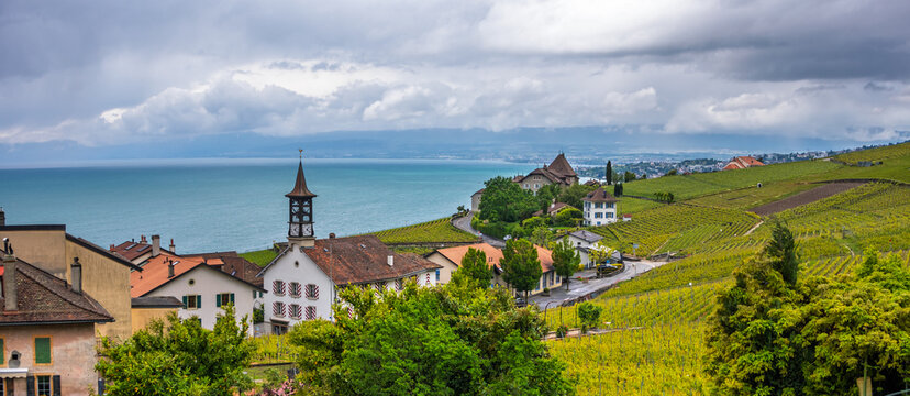 Lavaux vineyard terraces overlooking Lake Geneva in Switzerland