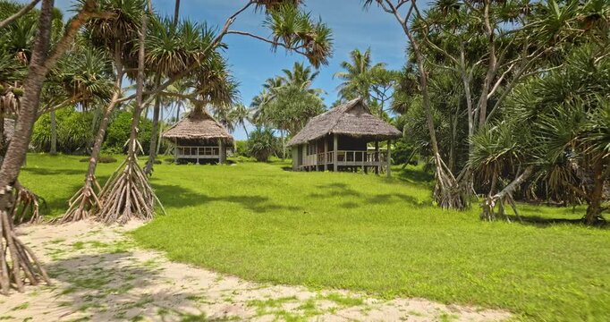 Tana Island, Vanuatu white sand beach leading to traditional thatched huts nestled among pandanus trees and lush green grass under a clear blue sky, evoking tropical island vacation and serene nature