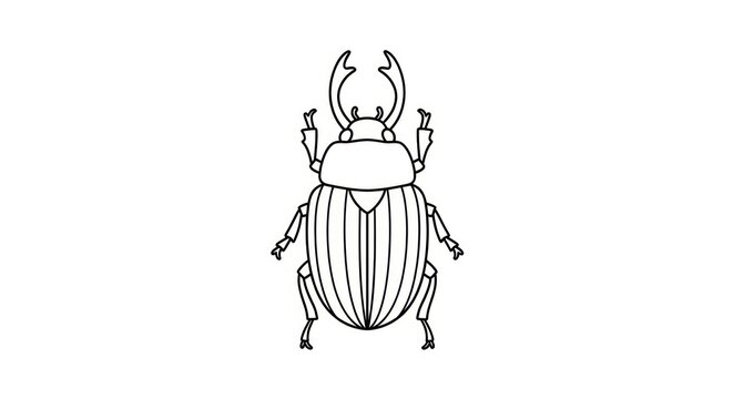 Detailed illustration of a beetle insect.