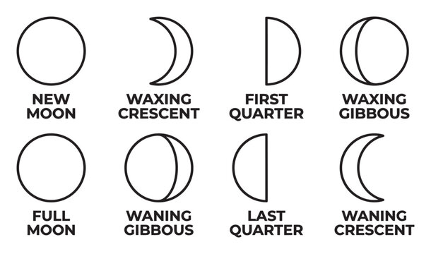 Lunar cycle phases new moon waxing crescent first quarter waxing gibbous full moon waning.