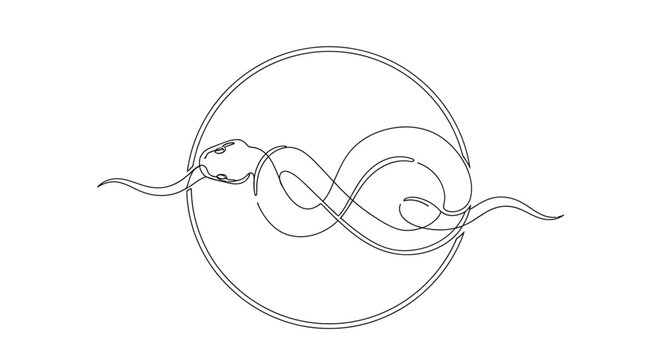 Abstract Infinity Symbol with Sperm Cell Illustration