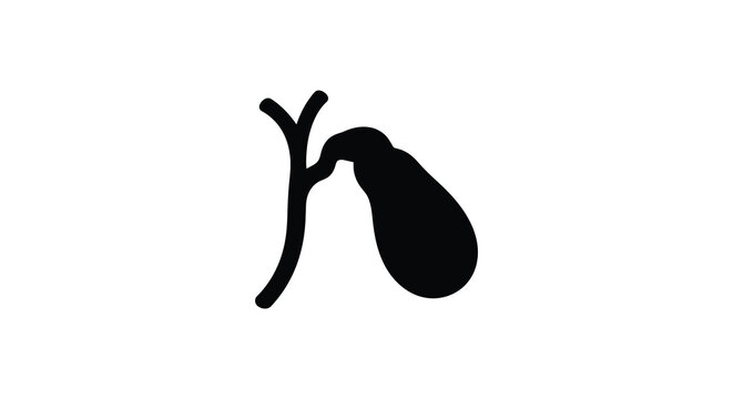A simple black and white medical illustration of a human gallbladder and bile duct anatomy