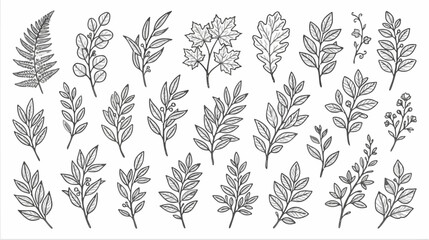 Fototapeta premium Hand drawn botanical leaf line art set featuring autumn leaves, oak, maple and fern branches for vintage nature floral outline design