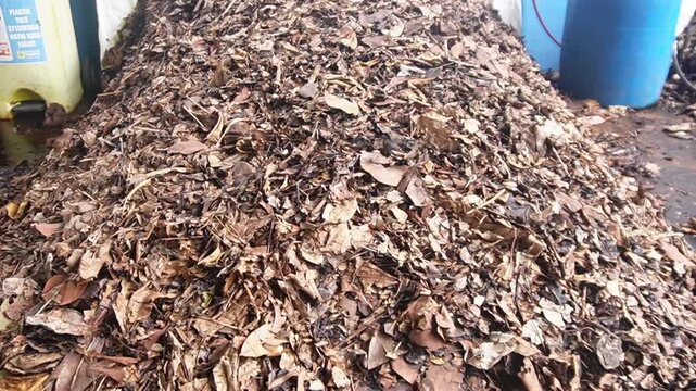 Pile of organic waste ready for composting, including food scraps and natural biodegradable materials.