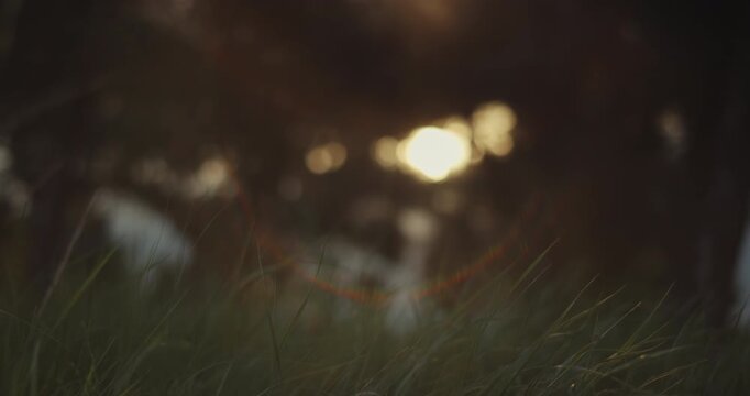 Cinematic golden hour close-up of summer grass with circular lens flare halo, warm sunlight and soft bokeh, evoking a serene glamping resort and retreat mood for luxury wellness and nature escape ads.