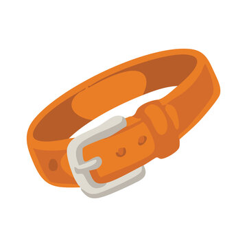 Leather Belt Fashion Accessory