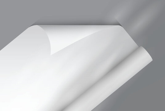 White gift wrapping paper mockup with rolled edge and curved corner with elegant shadow overlay, clean paper texture for gift wrap design, packaging, branding, print, magazines, catalogs or newspapers