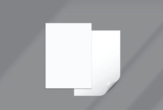 Blank white A4 paper sheets and curled page corner mockup on background with elegant organic shadow overlay. Perfect for displaying stationery designs, flyers, posters, branding, Ads and print design