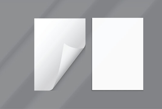 Blank white A4 paper sheets and curled page corner mockup on background with elegant organic shadow overlay. Perfect for displaying stationery designs, flyers, posters, branding, Ads and print design