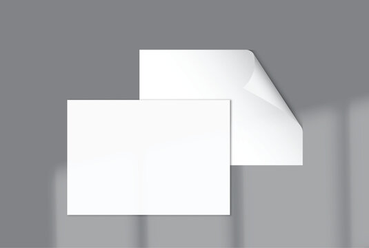 Blank white A4 paper sheets and curled page corner mockup on background with elegant organic shadow overlay. Perfect for displaying stationery designs, flyers, posters, branding, Ads and print design