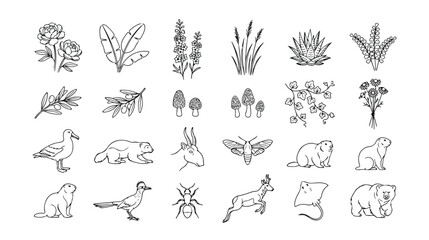 Fototapeta premium Nature and Wildlife Line Art Vector Icons, a collection of 25 hand-drawn botanical, animal, and insect illustrations, perfect for educational materials and outdoor-themed designs.