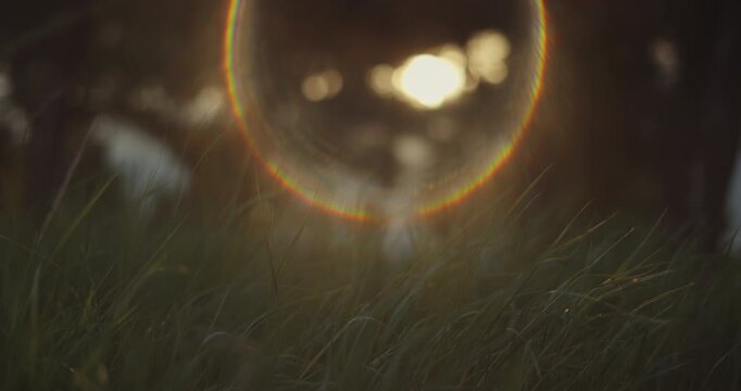 Cinematic golden hour close-up of summer grass with circular lens flare halo, warm sunlight and soft bokeh, evoking a serene glamping resort and retreat mood for luxury wellness and nature escape ads.