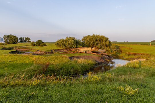 Idyllic pasture landscape, with a meandering river flowing around rustic willow trees at sunset or sunrise