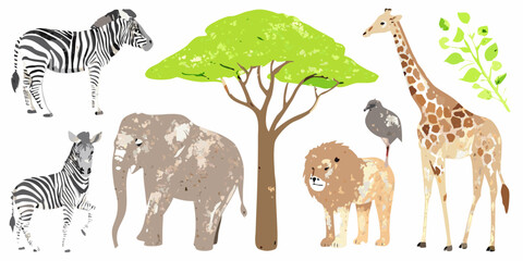 African safari animals and acacia tree watercolor illustration © Sukla
