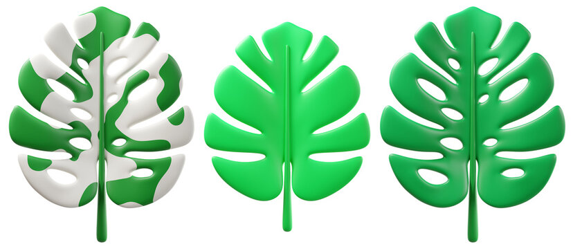 3D tropical monstera leaves set in green and variegated Alba white colors, isolated on background. Modern botanical illustration for summer design, eco branding, tropical decor, invitations, posters, 