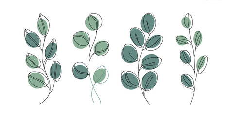 Set of minimalist eucalyptus branches drawn with single continuous line art and green organic shapes Vector, illustration © Nippon_Art Gallery