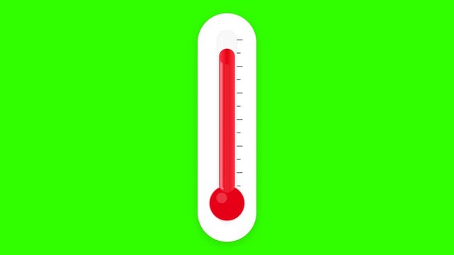 Rising Temperature Thermometer Animation on Green Screen Chroma Key Loop