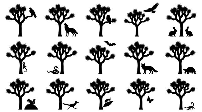 desert plant vector wildlife silhouette collection showcasing yucca trees with wild animals like wolf owl snake eagle scorpion rabbit and hawk isolated on clean white background