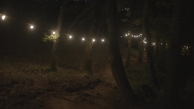 String lights illuminate a narrow dirt path winding through a dark forest at night, with the camera slowly moving forward along the trail