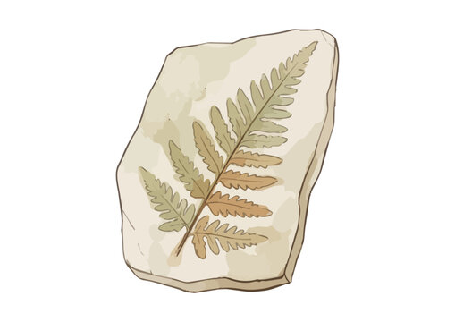 Realistic fossil illustration with rich stone texture, detailed ancient relic and striking natural appearance ／ シズル感のある化石のイラスト、リアルな石の質感と古代の趣を表現した存在感のある化石イラスト