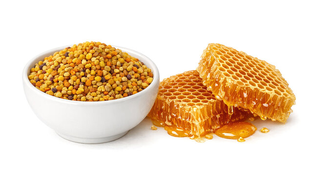 Close up of various bee products including honey, beeswax, and royal jelly.