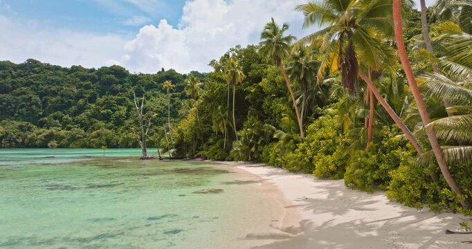 Pristine white sand beach on Tegua island with clear turquoise water. Surrounded by lush tropical vegetation and towering palm trees under bright blue sky. Wild paradise in Vanuatu. Travel destination