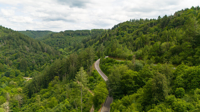 Road through forest in summer, path through coniferous and deciduous trees, rural countryside landscape in Eifel Germany, travel destination, aerial view